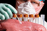 Фаст-фуд должен отказаться от мяса с антибиотиками